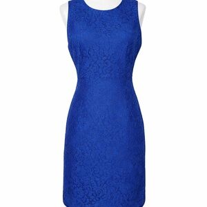 J Crew Lace Sheath Dress Cobalt Blue Wedding Guest Cocktail Evening Midi Sz 8